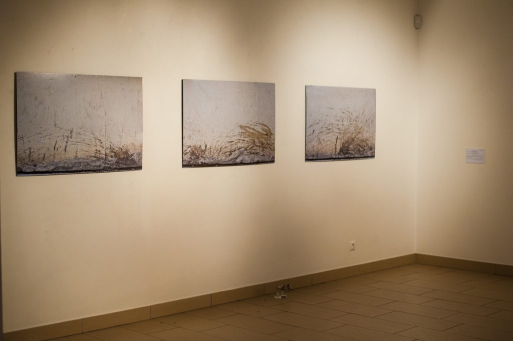 odnoviun-9351-1024x682