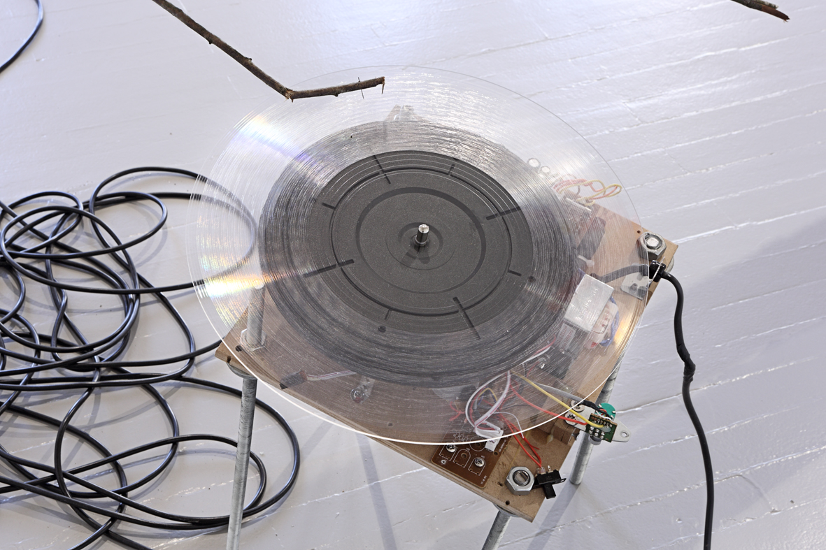 Savā nodabā, installation detail, Vartai gallery, 2016. Photo: Arturas Valiauga