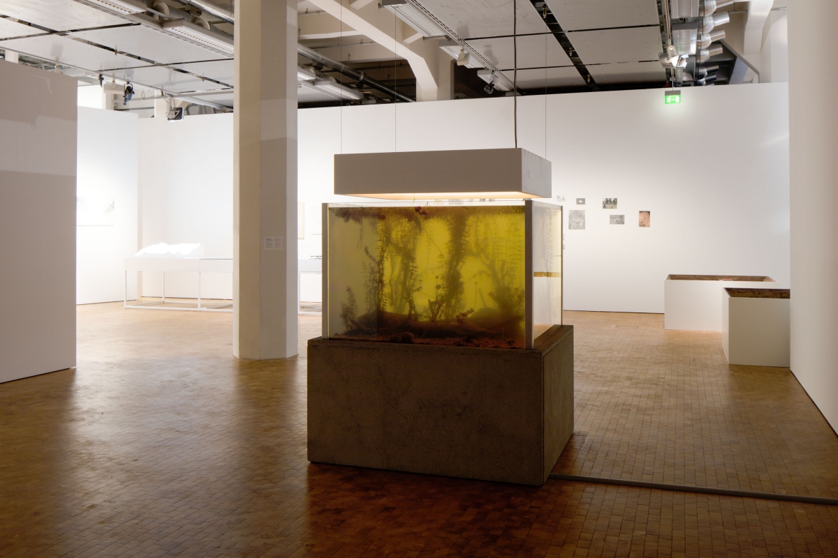 Pierre Huyghe. Nymphéas Transplant (14–18). 2014. Mixed-media installation, live pond ecosystem, light box, switchable glass, concrete, 189 × 143.5 × 128.7 cm, Courtesy of the artist and Hauser & Wirth, London. Supported by Hauser & Wirth. © VG Bild-Kunst Bonn, 2016.