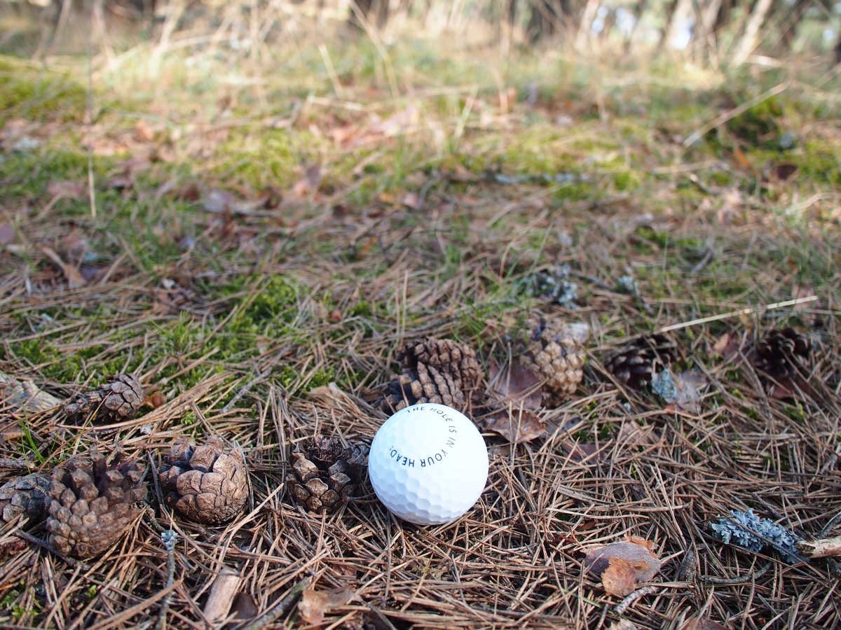 Albert Allgaier, Golf project, Nida, 2016. Photo: Živilė Etevičiūtė
