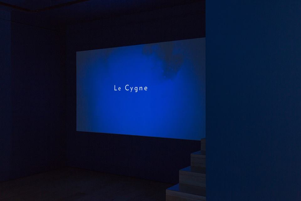 Ēriks Apaļais 'Le Cygne'. Exhibition view, 2016. Photo: courtesy of Alma gallery