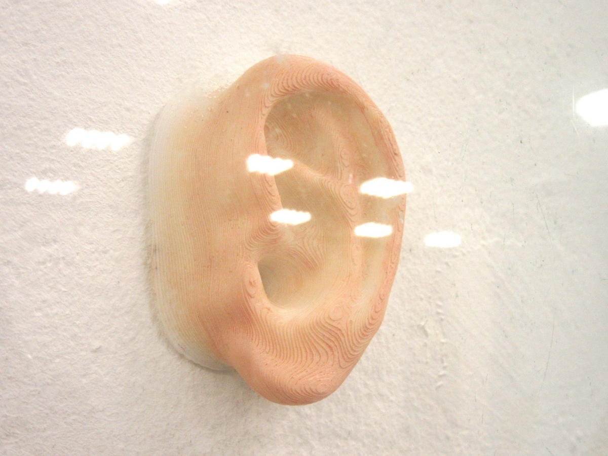 “The left ear of Vincent van Gogh”, 3D printed ear, plastic, glass, oil paint, cotton, color-slide, lens, 2017