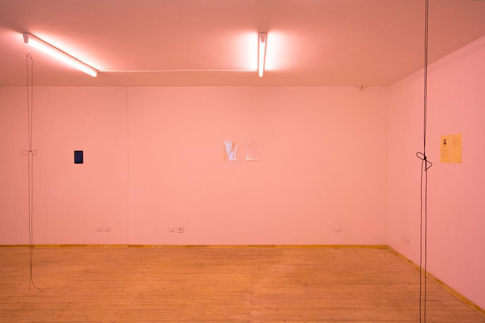 Laura Kaminskaitė, Today, 2017-2018. Exhibition view at Editorial, Vilnius