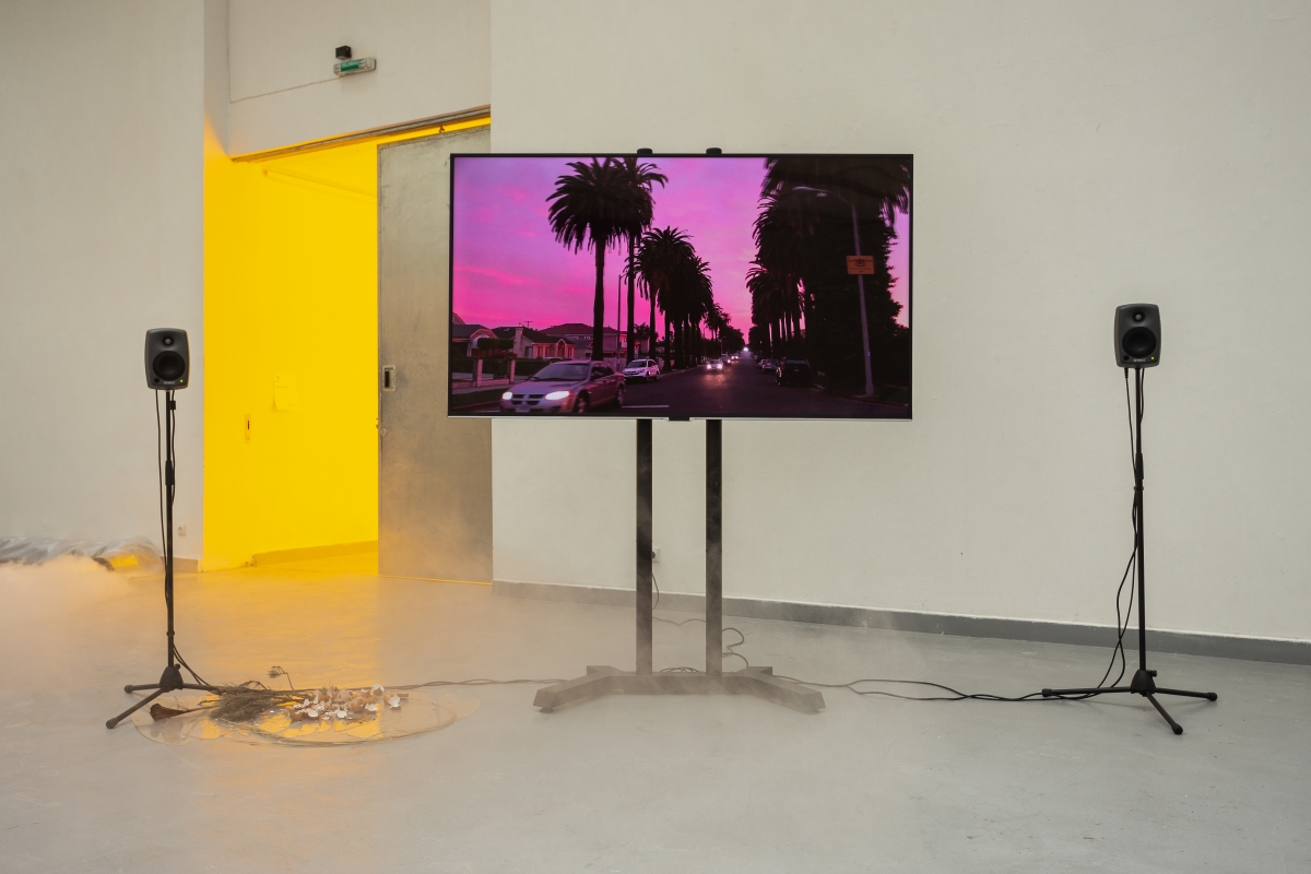 LAURE PROUVOST A Way To Leak, Lick, Leek, 2016, Installation, Dimensions variable, Courtesy the artist