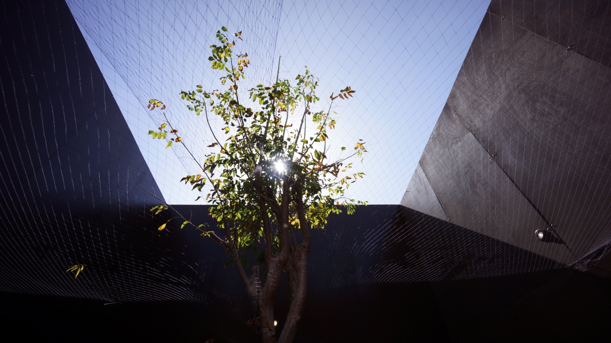 Under by Hale Tenger. Photo: Ali Erdemci