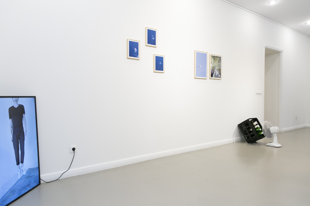 Jurgis Tarabilda, exhibition Reality Show