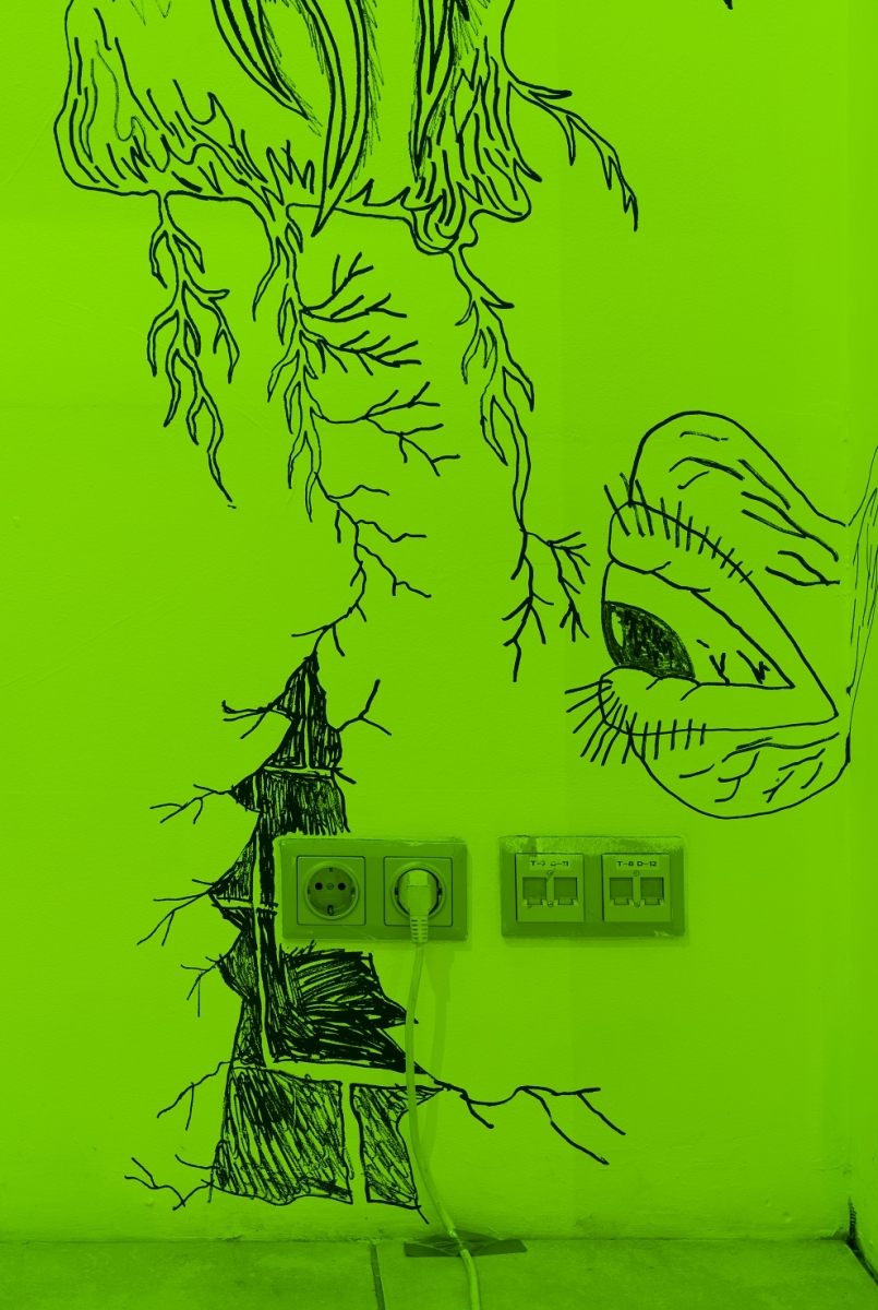 27