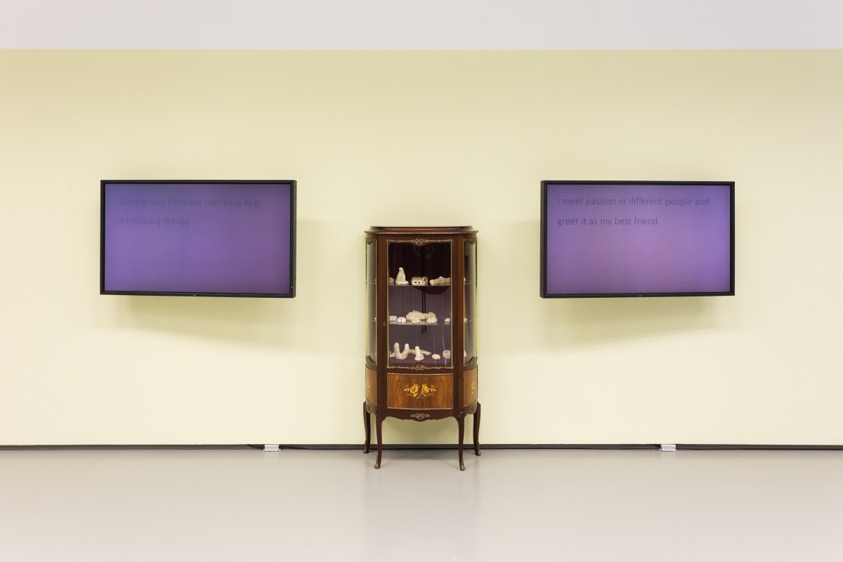 Colleague From Another Tribe. Artist Meets Entrepreneur, exhibition view. National Gallery of Art, Vilnius, 13.12.2018 - 10.02.2019. Photo: Andrej Vasilenko