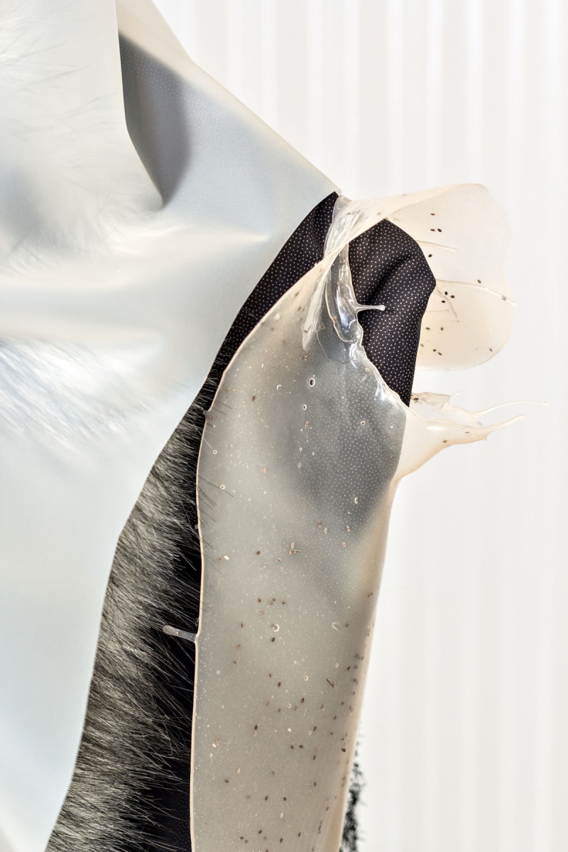 Pakui Hardware, Extrakorporal, 2018. Glass, faux-fur, latex rubber, silicone, chia seeds, various textiles, metal holders. Solo exhibition at Bielefelder Kunstverein, Germany (detail)