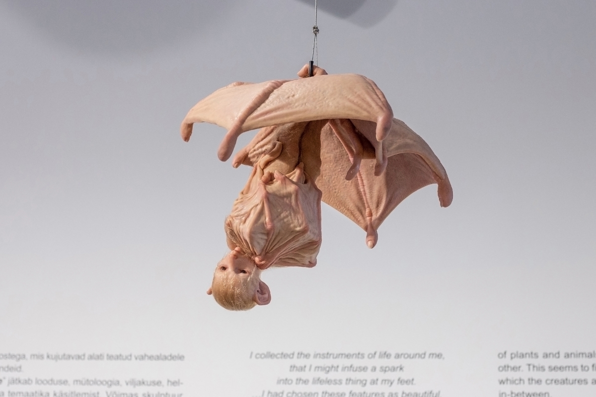 Photo Reportage From The Exhibition The Instruments Of Life By Patricia Piccinini At The Kai Art Center Echo Gone Wrong