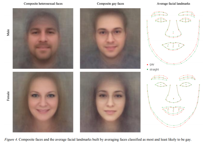 Images show composite faces with blurry edges and composite facial features graphs. The composite photos are labeled in a matrix as male and female composite heterosexual faces and composite gay faces. Composite facial features graphs show red outline of facial features representing average facial landmarks of male and female gay and straight faces